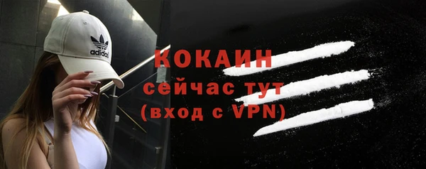 ешки Семилуки