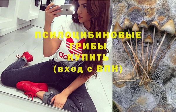 дживик Абинск