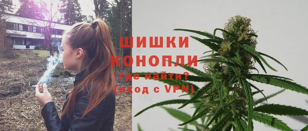 дживик Абинск