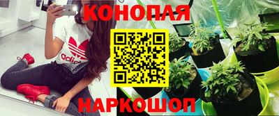 Альфа ПВП Кулебаки