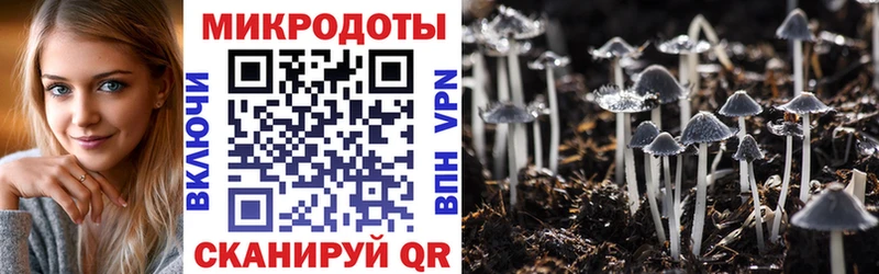 blacksprut   Кимовск  Галлюциногенные грибы Psilocybine cubensis 