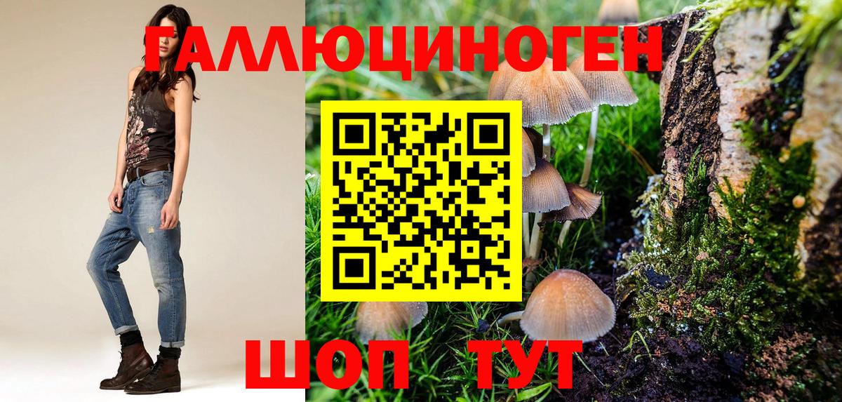 Кимовск  Галлюциногенные грибы прущие грибы  Галлюциногенные грибы Magic Shrooms  Вход с VPN 